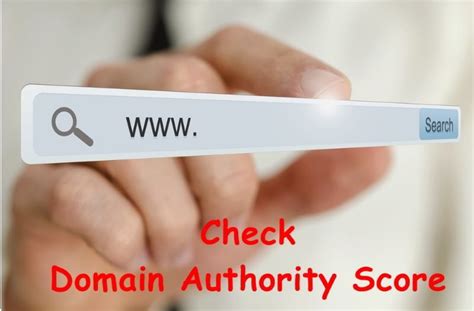 check domain authority online